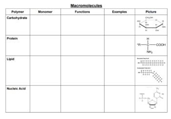Macromolecules Chart Blank