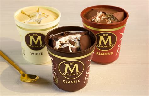 Magnum Ice Cream Pints: A Journey of Indulgence and Empowerment