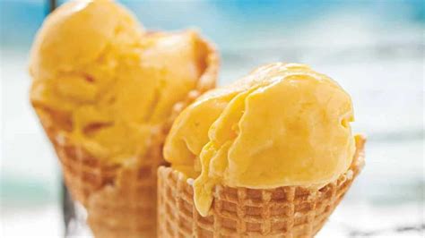 Magoo Ice Cream: Indulge in the Sweet Embrace of Childhood Memories