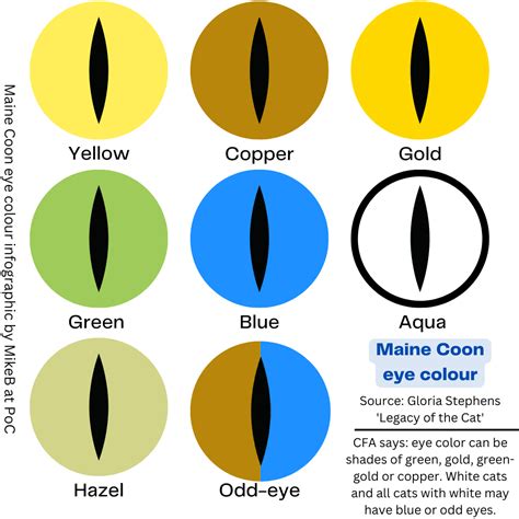 Maine Coon Eye Color Chart