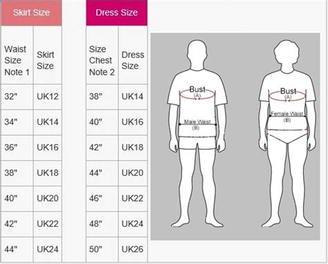 Male To Female Clothing Size Conversion Chart