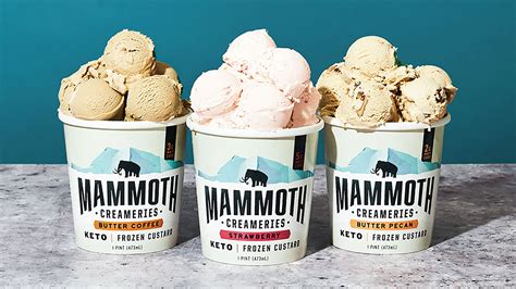 Mammoth Ice Cream: A Transactional Inspiration