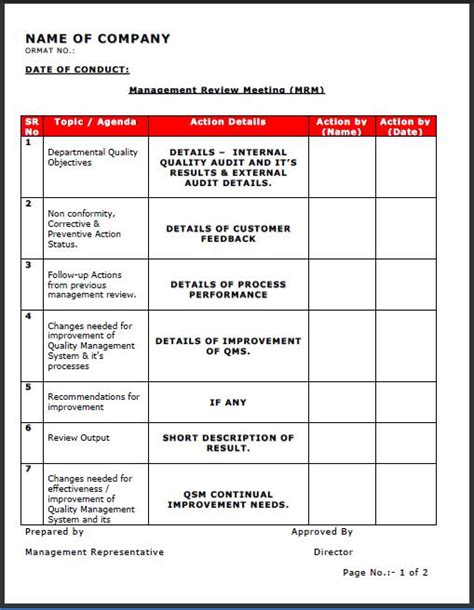 Management Review Template