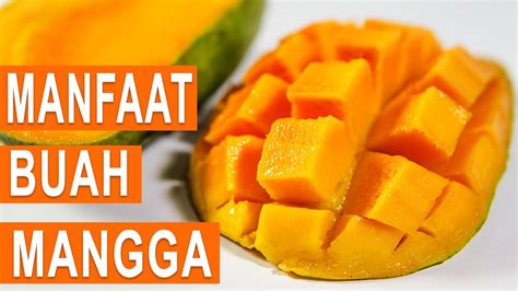 Mangga Mogen, Buah Eksotis yang Kaya Manfaat