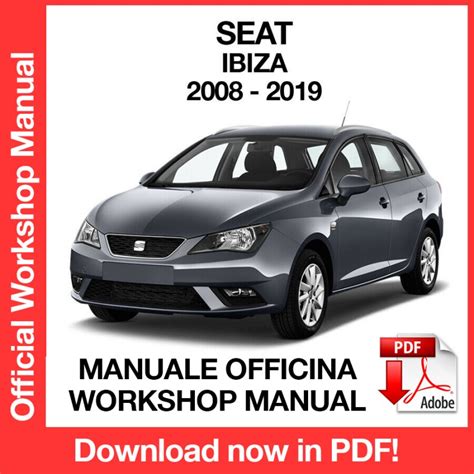 Manual Instrucciones Seat Ibiza 2008