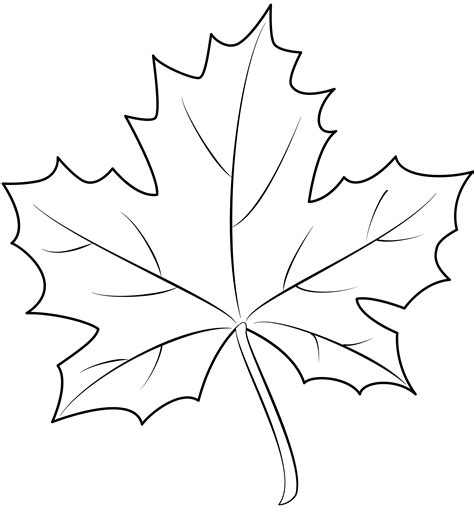 Maple Leaf Printable
