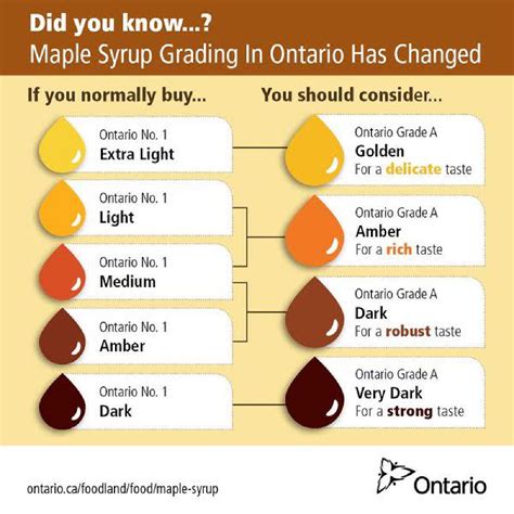 Maple Syrup Color Chart