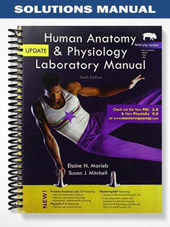 Marieb 10 Edition Lab Manual Answer Key