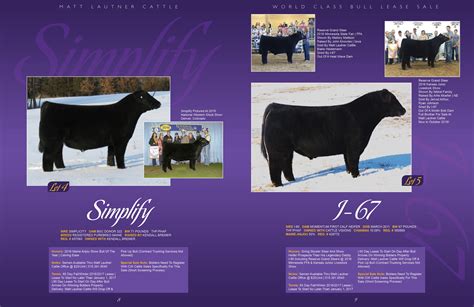 Matt Lautner Bull Catalog