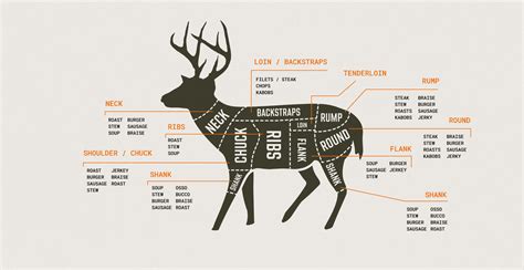 Meat Cuts Of A Deer Chart