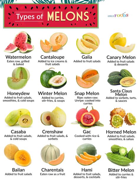Melon Identification Chart