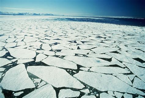 Melting Polar Ice Packs: A Plea for Our Frozen Sentinels