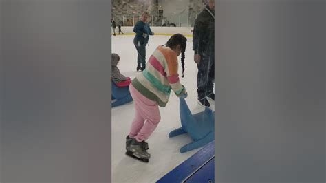 Meluncur di atas Es di Toyota Ice Skating Rink El Segundo: Sebuah Pengalaman yang Tak Terlupakan