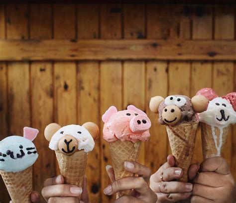 Mencicipi Kebahagiaan dalam Setiap Sendok: Petualangan Kuliner Mencari Es Krim Terbaik di Santa Cruz