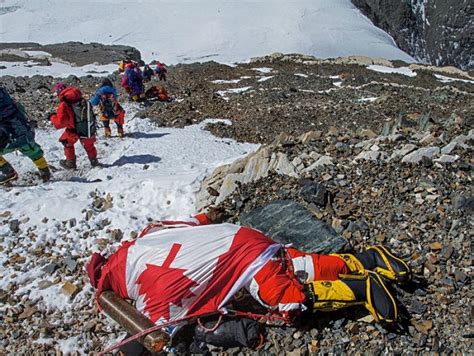 Menjejak Jejak Sang Raksasa: Kisah Everest 150 Kg