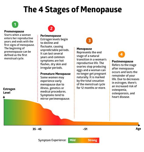 Menopause Age Chart