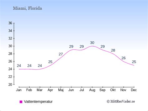 Miami Väder Året Runt: En Guide till Sol, Strand och Strålande Himmel