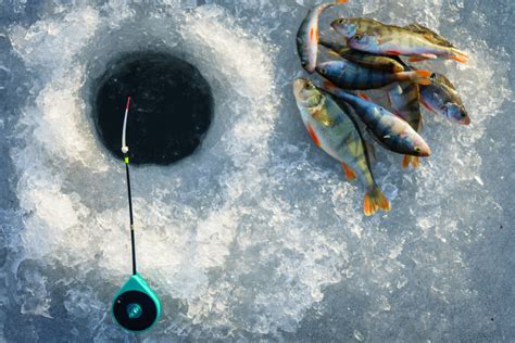 Michiganders: Cast Your Lines for Ice Fishing Adventures!