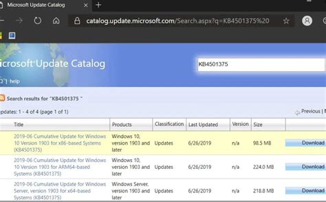 Microsoft Update Catalog .net Framework 4.8