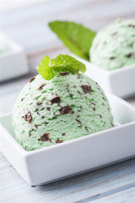 Mint Chocolate Chip Ice Cream: A Refreshing Indulgence