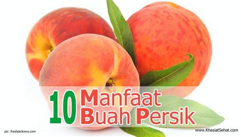 Minuman Persik Berkhasiat: Khasiat dan Manfaatnya untuk Kesehatan