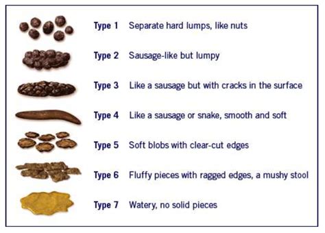 Miralax Poop Chart