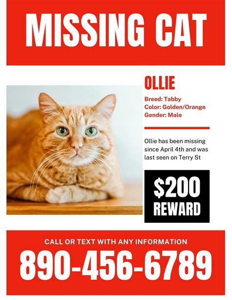 Missing Cat Poster Template