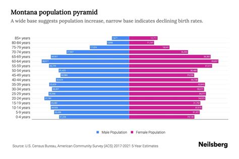 Montana State Age Structure Chart