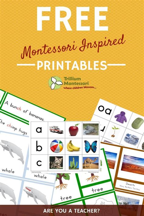 Montessori Free Printables
