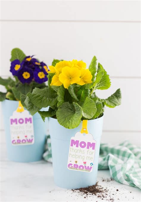 Mothers Day Flower Pot Printable