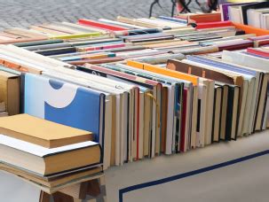 Mountain View Library Catalog Search