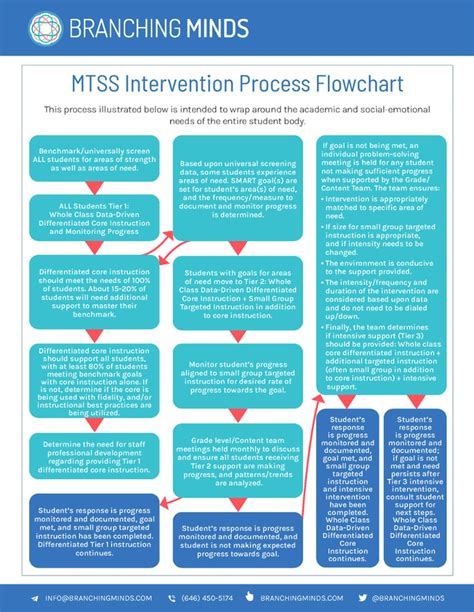 Mtss Process Flow Chart