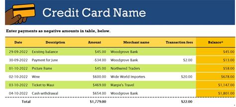 Multiple Credit Card Excel Template