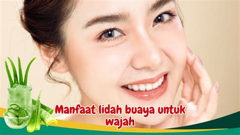 Najadlax Recept, Rahasia Kulit Sehat dan Bercahaya