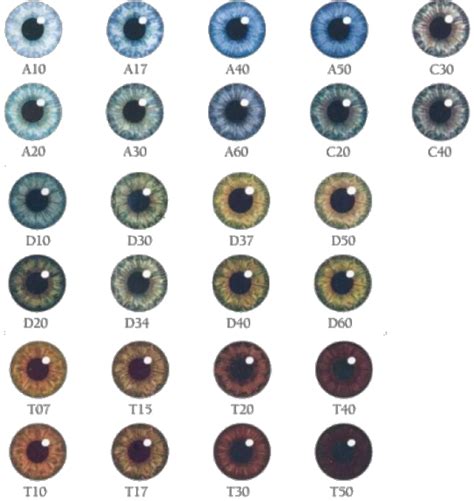 Natural Eye Color Chart