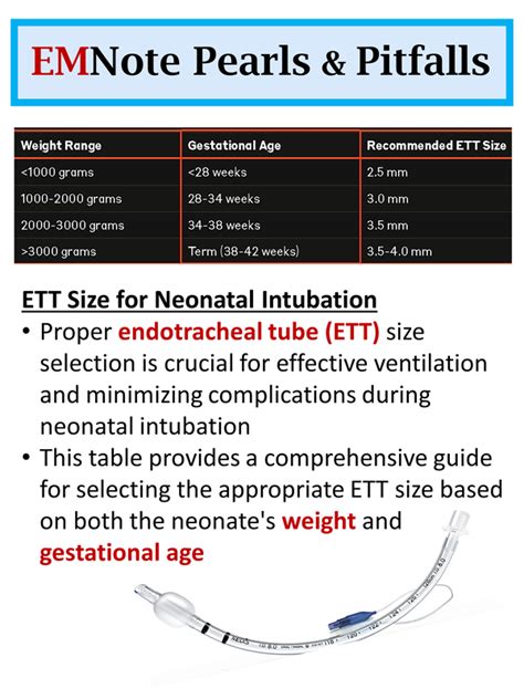 Neonatal Ett Size Chart