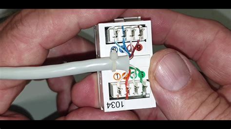 Network Wall Socket Wiring Diagram