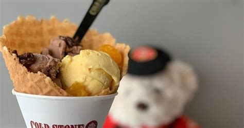 Nikmati Kelezatan Vons Ice Cream, Sensasi Sejuk yang Tak Terlupakan!