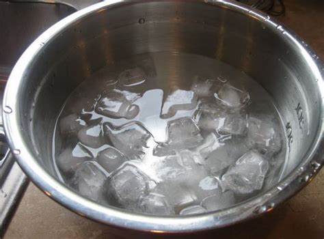 No Ice Water for Dogs Please: Read ASAP