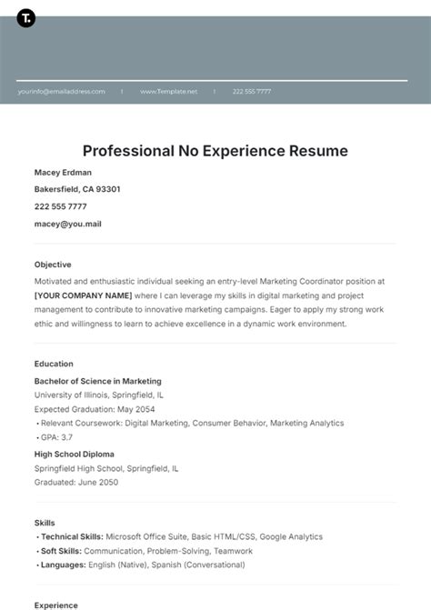 No Work Experience Resume Template