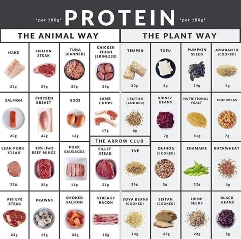 Non Protein Food Chart