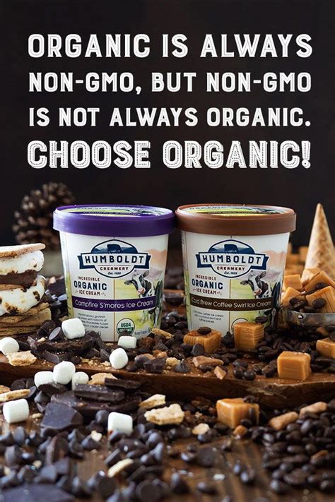Non-GMO Ice Cream: A Treat You Can Feel Good About