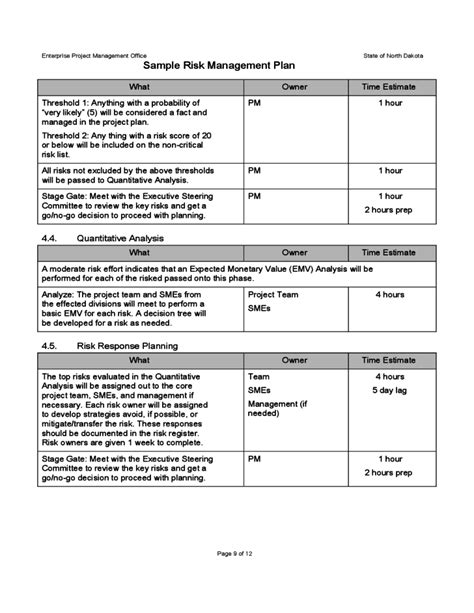 Nonprofit Risk Management Plan Template