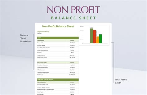 Not For Profit Balance Sheet Template