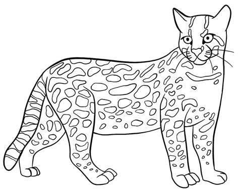 Ocelot Printable