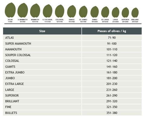 Olive Size Chart