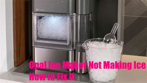 Opal Ice Maker Not Making Ice: A Chilling Dilemma