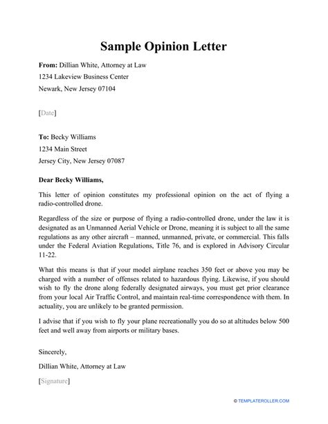Opinion Letter Template