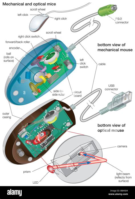 Optical Mouse Wiring Diagram