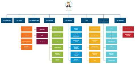 Organizational Chart Examples
